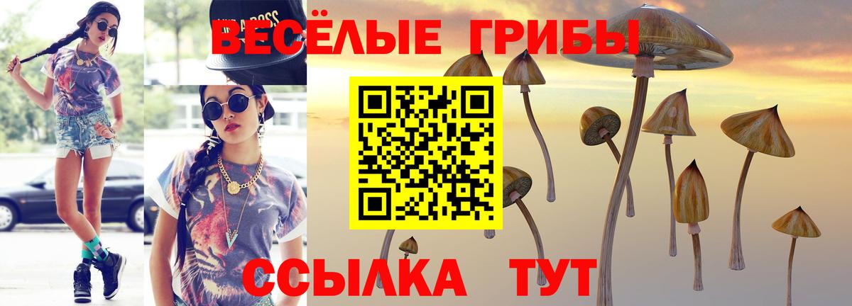 Псилоцибиновые грибы GOLDEN TEACHER  Вход с VPN  Кропоткин 